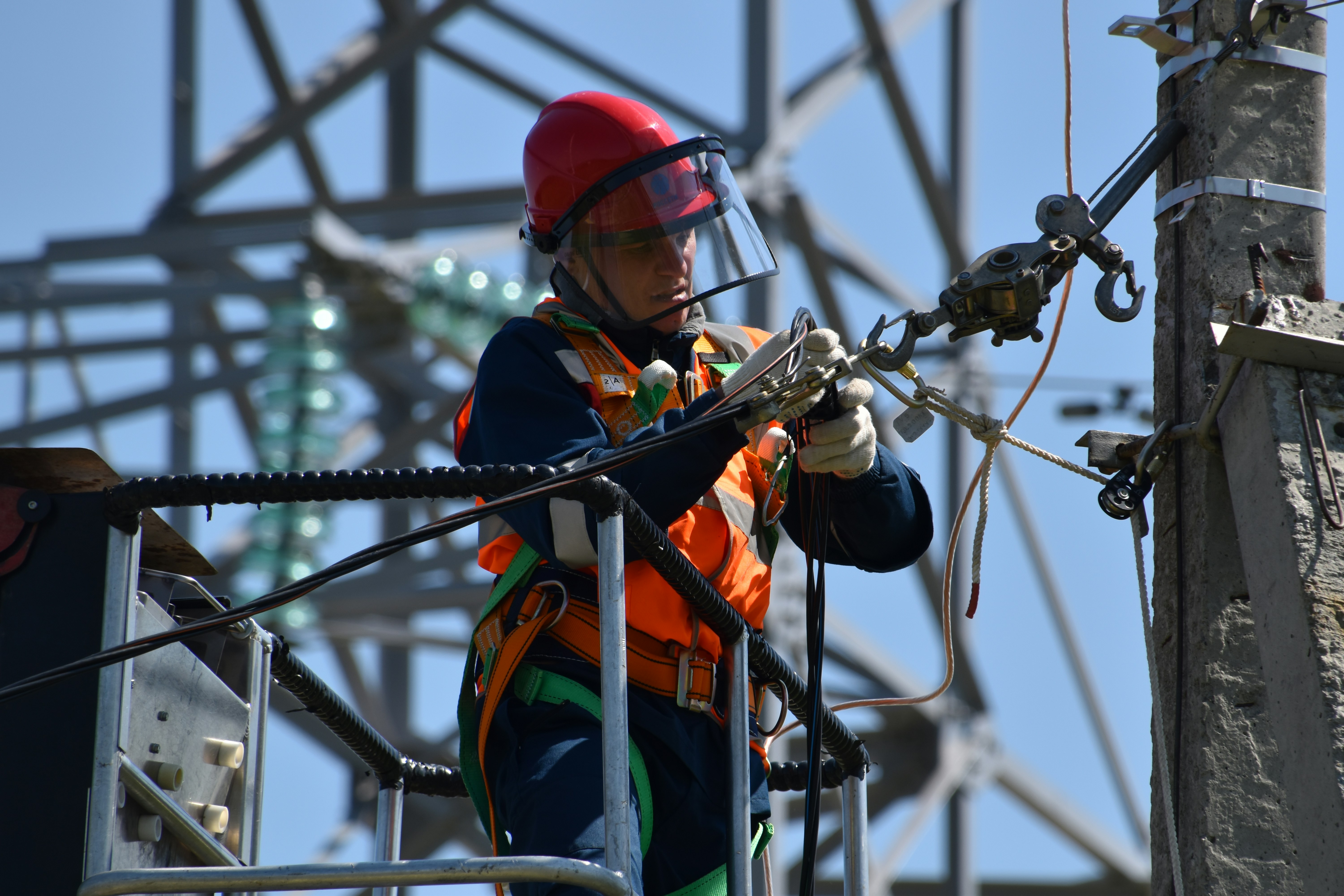 Electrical safety inspection by Grove Spark Electrical Services in Killara